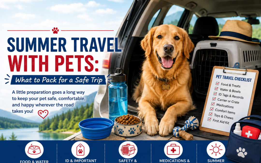 Summer Travel With Pets: What to Pack for a Safe Trip